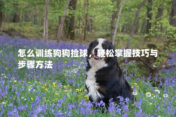 怎么训练狗狗捡球，轻松掌握技巧与步骤方法