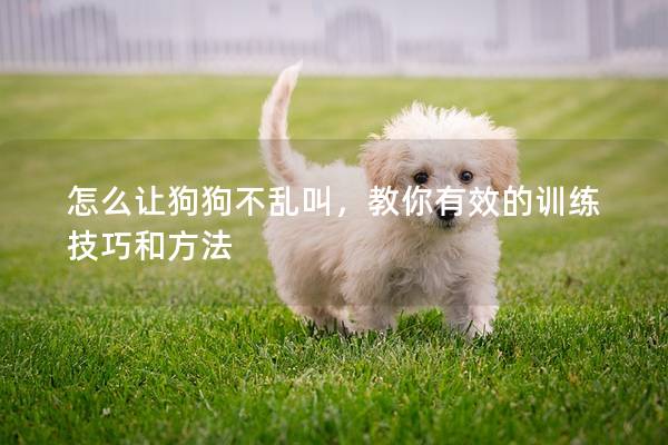 怎么让狗狗不乱叫，教你有效的训练技巧和方法
