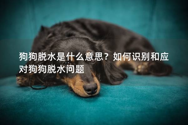 狗狗脱水是什么意思？如何识别和应对狗狗脱水问题