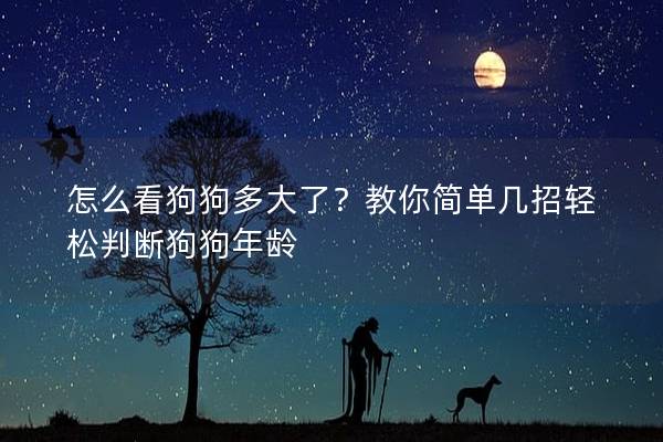 怎么看狗狗多大了？教你简单几招轻松判断狗狗年龄