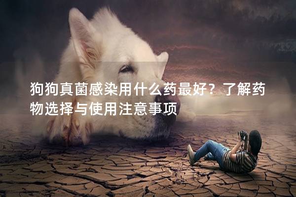 狗狗真菌感染用什么药最好？了解药物选择与使用注意事项