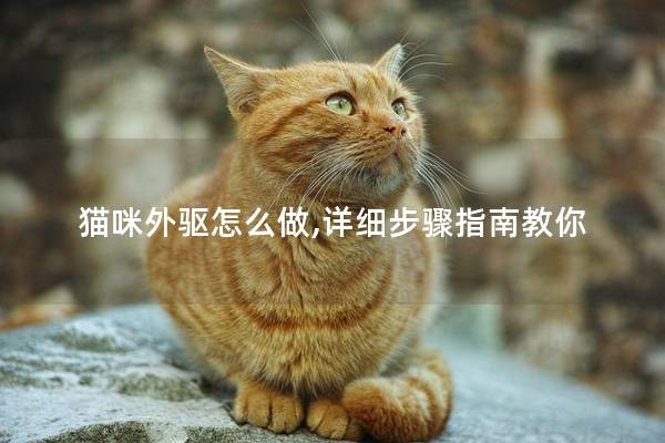 猫咪外驱怎么做,详细步骤指南教你