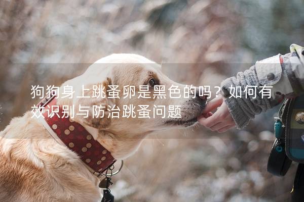 狗狗身上跳蚤卵是黑色的吗？如何有效识别与防治跳蚤问题
