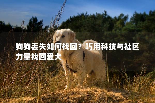 狗狗丢失如何找回？巧用科技与社区力量找回爱犬