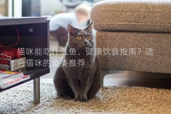 猫咪能吃什么鱼，健康饮食指南？适合猫咪的鱼类推荐