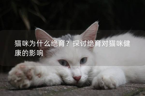 猫咪为什么绝育？探讨绝育对猫咪健康的影响