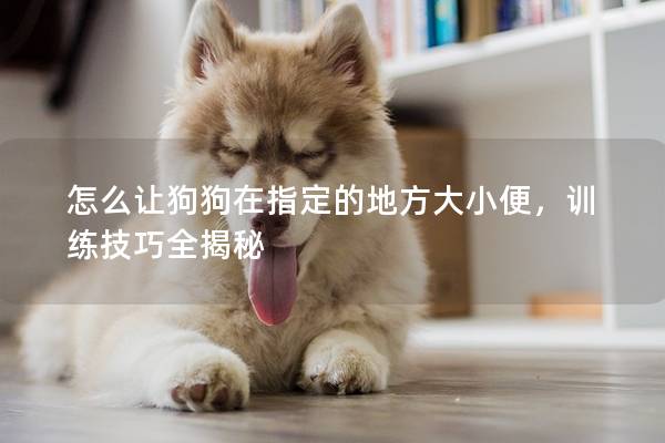 怎么让狗狗在指定的地方大小便，训练技巧全揭秘