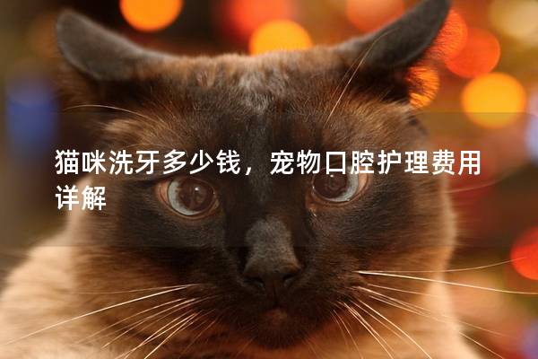 猫咪洗牙多少钱，宠物口腔护理费用详解