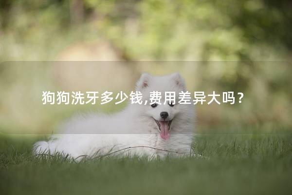 狗狗洗牙多少钱,费用差异大吗？