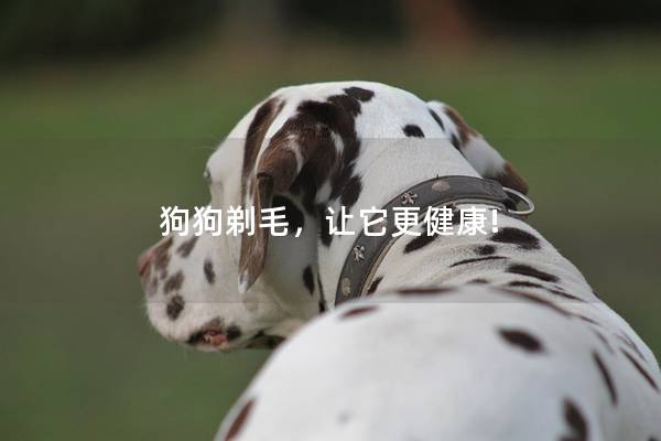 狗狗剃毛，让它更健康!