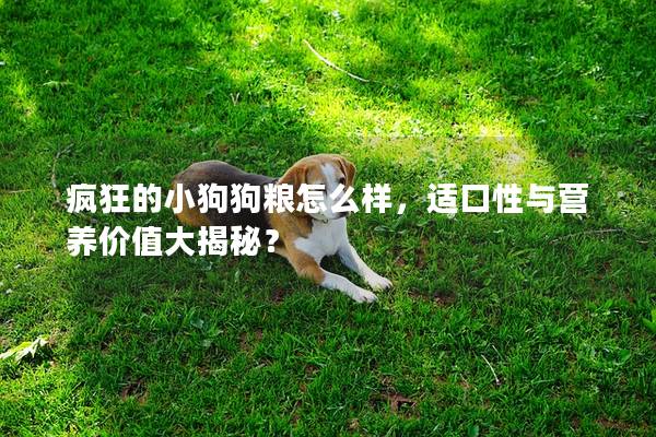 疯狂的小狗狗粮怎么样，适口性与营养价值大揭秘？