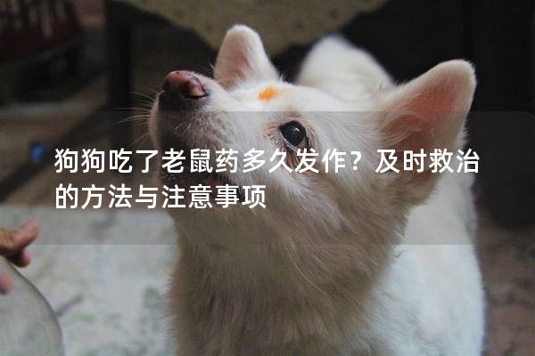 狗狗吃了老鼠药多久发作？及时救治的方法与注意事项