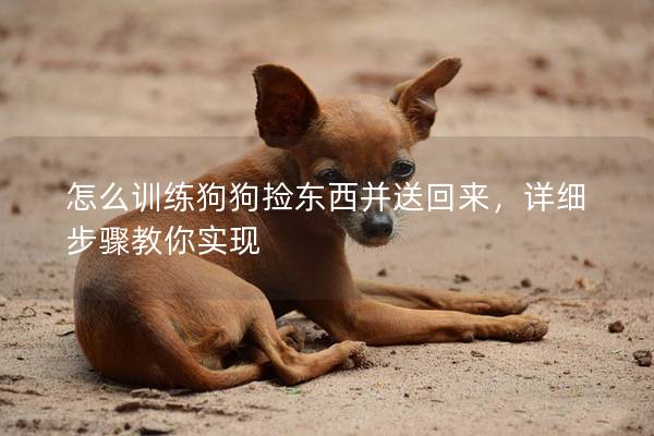 怎么训练狗狗捡东西并送回来，详细步骤教你实现