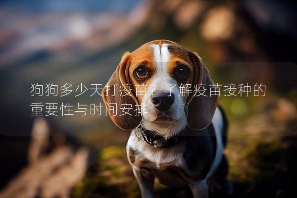 狗狗多少天打疫苗？了解疫苗接种的重要性与时间安排