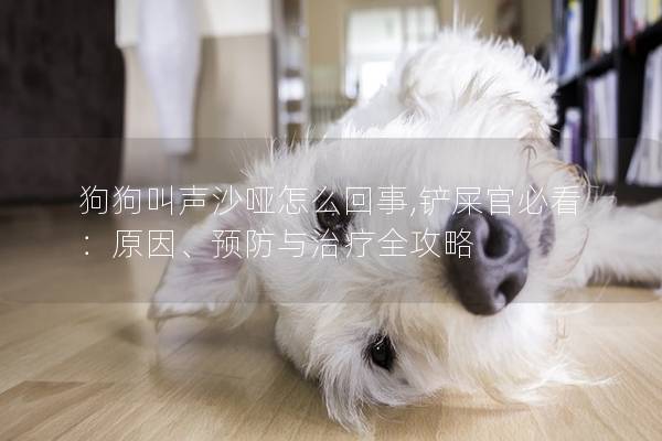 狗狗叫声沙哑怎么回事,铲屎官必看：原因、预防与治疗全攻略