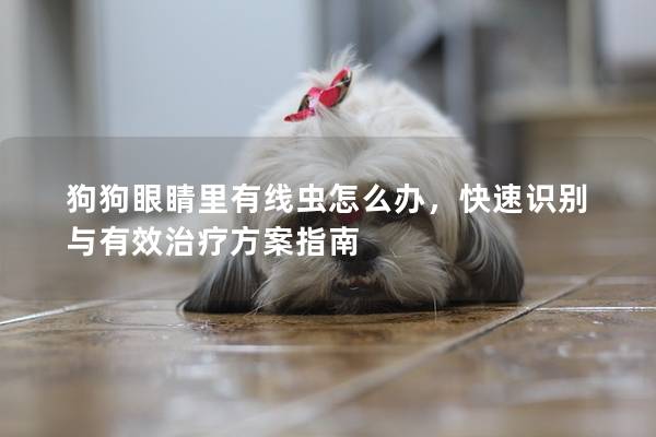 狗狗眼睛里有线虫怎么办，快速识别与有效治疗方案指南