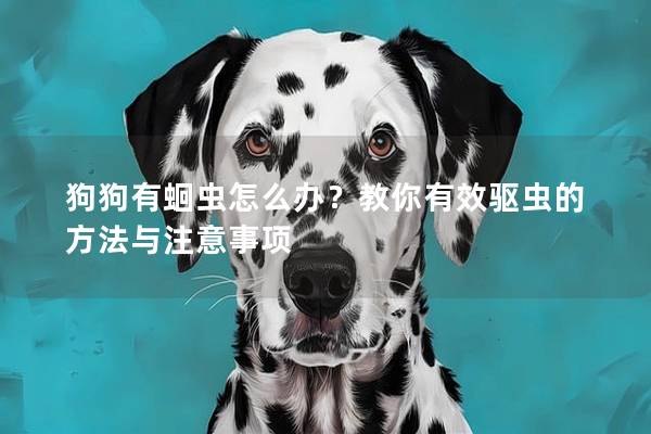 狗狗有蛔虫怎么办？教你有效驱虫的方法与注意事项