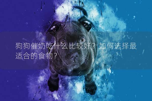 狗狗催奶吃什么比较好？如何选择最适合的食物？