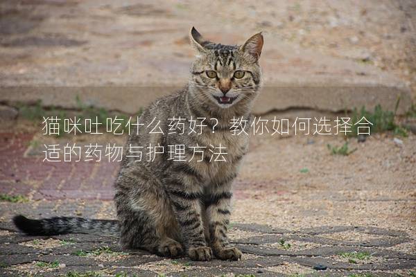 猫咪吐吃什么药好？教你如何选择合适的药物与护理方法