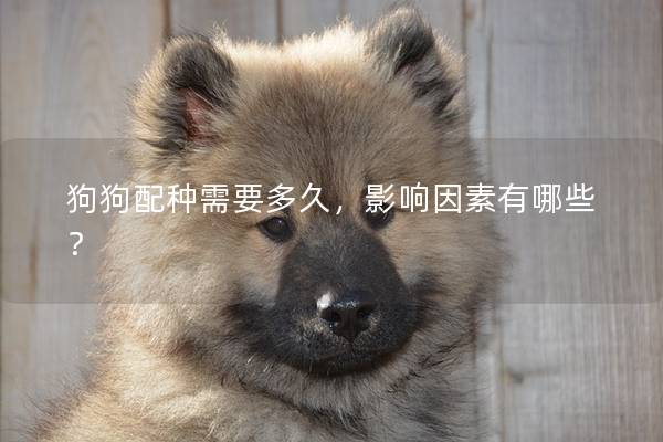 狗狗配种需要多久，影响因素有哪些？