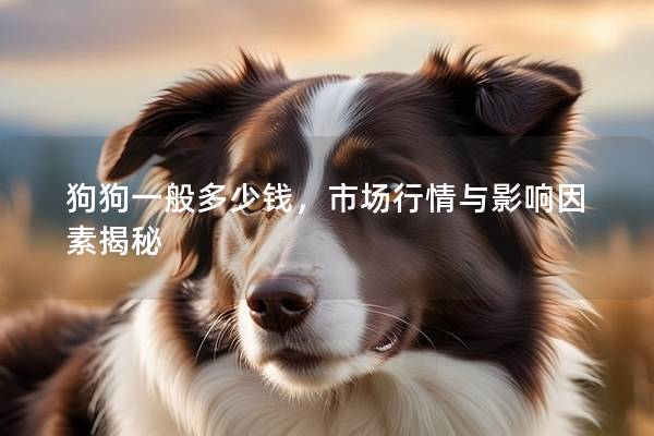 狗狗一般多少钱，市场行情与影响因素揭秘