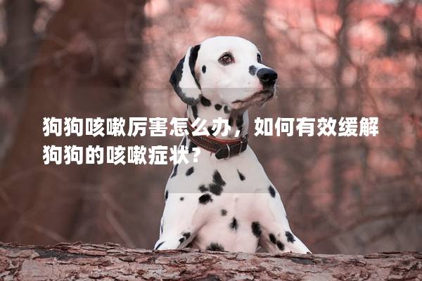 狗狗咳嗽厉害怎么办，如何有效缓解狗狗的咳嗽症状？