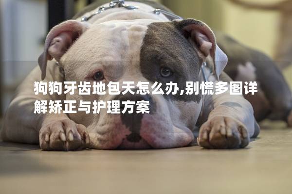 狗狗牙齿地包天怎么办,别慌多图详解矫正与护理方案