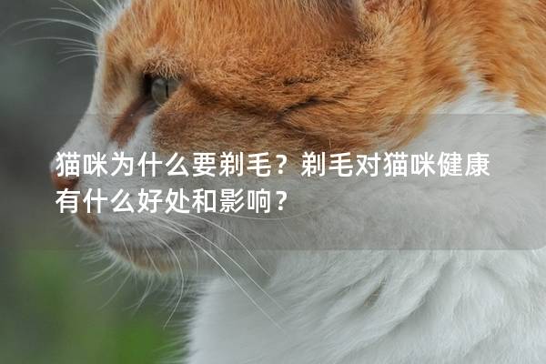 猫咪为什么要剃毛？剃毛对猫咪健康有什么好处和影响？