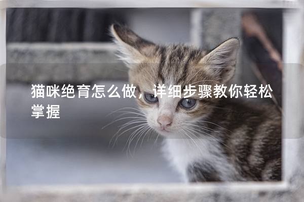 猫咪绝育怎么做，详细步骤教你轻松掌握