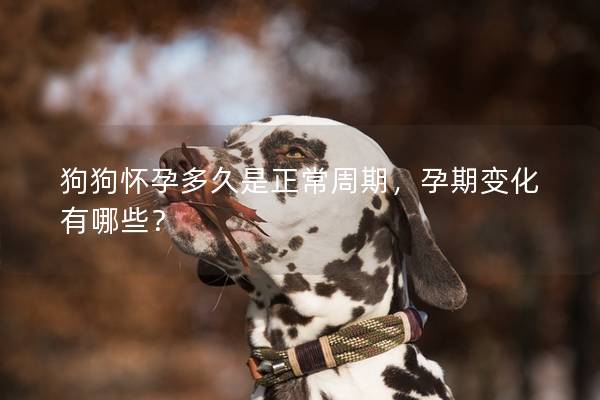 狗狗怀孕多久是正常周期，孕期变化有哪些？