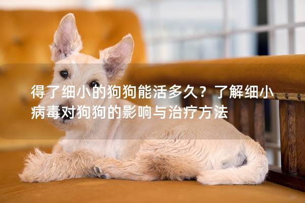 得了细小的狗狗能活多久？了解细小病毒对狗狗的影响与治疗方法