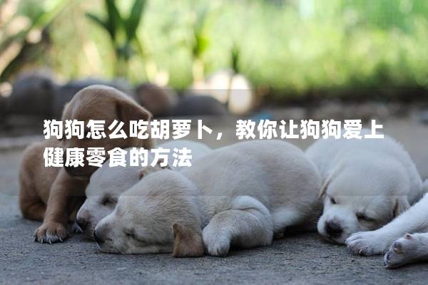狗狗怎么吃胡萝卜，教你让狗狗爱上健康零食的方法