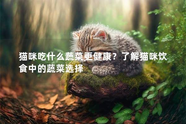 猫咪吃什么蔬菜更健康？了解猫咪饮食中的蔬菜选择