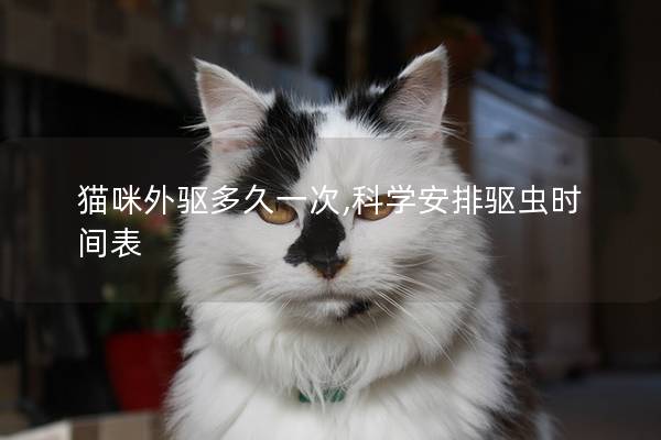 猫咪外驱多久一次,科学安排驱虫时间表