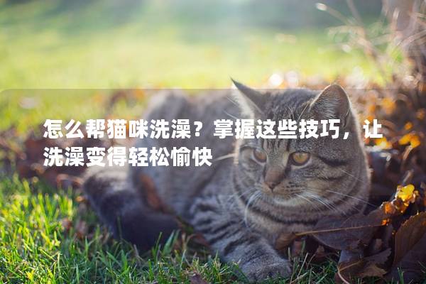 怎么帮猫咪洗澡？掌握这些技巧，让洗澡变得轻松愉快