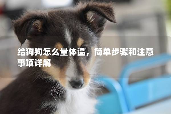 给狗狗怎么量体温，简单步骤和注意事项详解