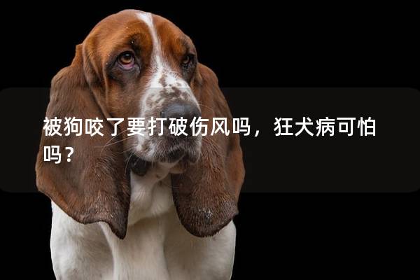 被狗咬了要打破伤风吗，狂犬病可怕吗？