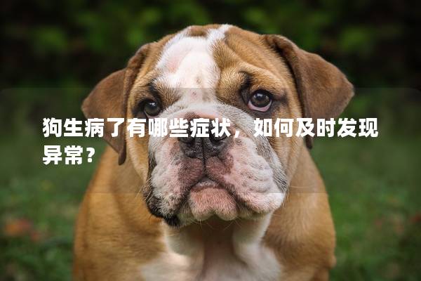狗生病了有哪些症状，如何及时发现异常？