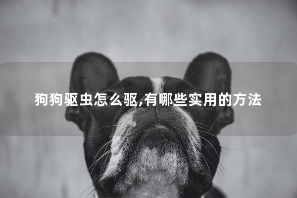 狗狗驱虫怎么驱,有哪些实用的方法