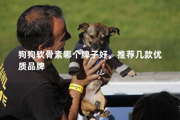 狗狗软骨素哪个牌子好，推荐几款优质品牌