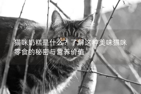 猫咪奶糕是什么？了解这种美味猫咪零食的秘密与营养价值