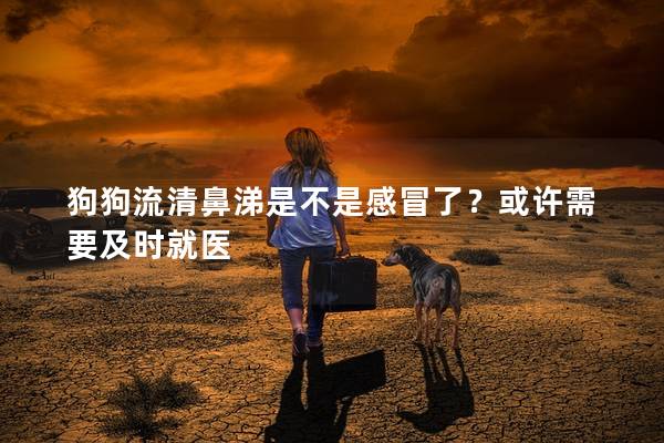 狗狗流清鼻涕是不是感冒了？或许需要及时就医