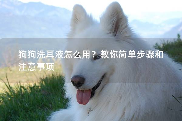 狗狗洗耳液怎么用？教你简单步骤和注意事项