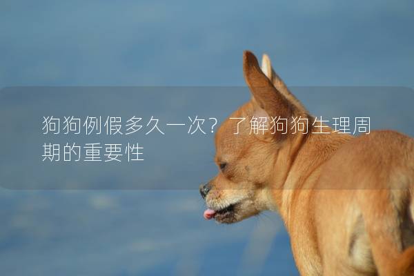 狗狗例假多久一次？了解狗狗生理周期的重要性