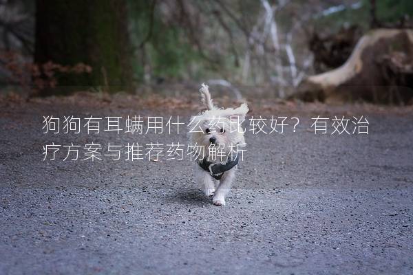 狗狗有耳螨用什么药比较好？有效治疗方案与推荐药物解析