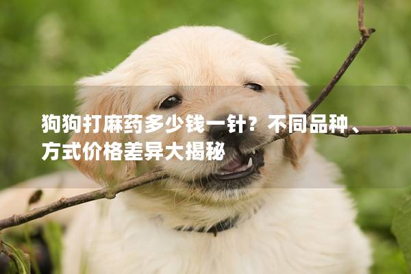 狗狗打麻药多少钱一针？不同品种、方式价格差异大揭秘