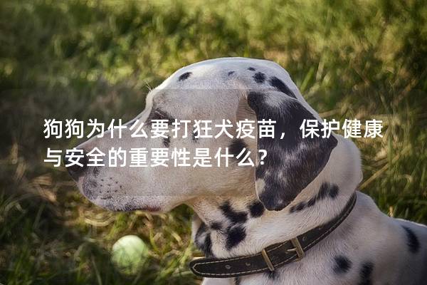 狗狗为什么要打狂犬疫苗，保护健康与安全的重要性是什么？