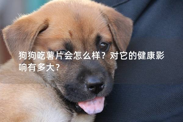 狗狗吃薯片会怎么样？对它的健康影响有多大？