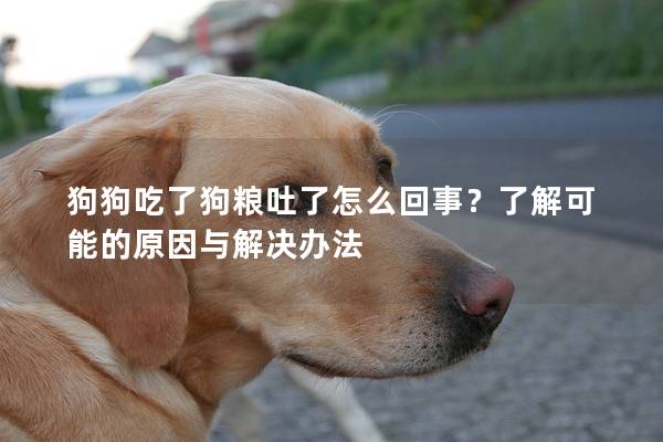 狗狗吃了狗粮吐了怎么回事？了解可能的原因与解决办法
