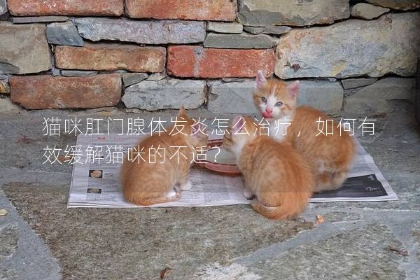 猫咪肛门腺体发炎怎么治疗，如何有效缓解猫咪的不适？